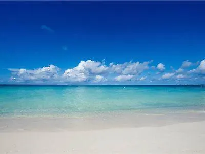 Regal Beach Club Dog City 0*,  جزر كايمان
